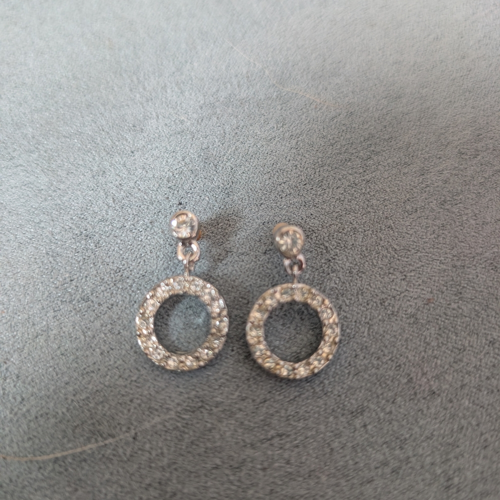 Elegant Silver Circle Drop Earrings